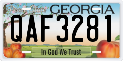 GA license plate QAF3281