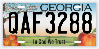 GA license plate QAF3288