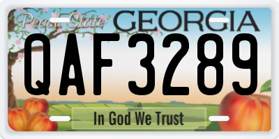 GA license plate QAF3289