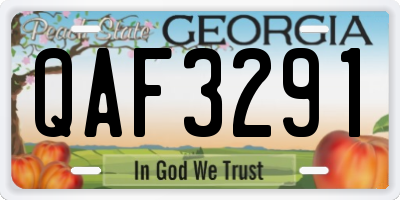 GA license plate QAF3291