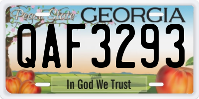 GA license plate QAF3293