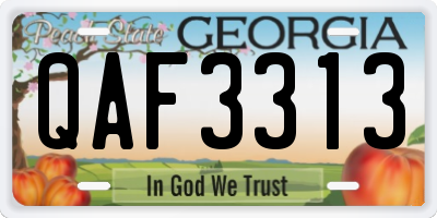 GA license plate QAF3313