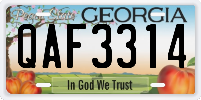 GA license plate QAF3314