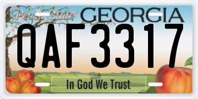 GA license plate QAF3317