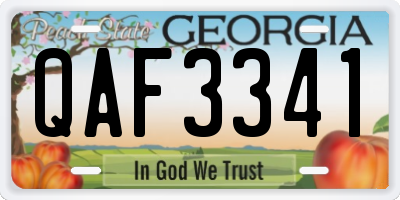 GA license plate QAF3341