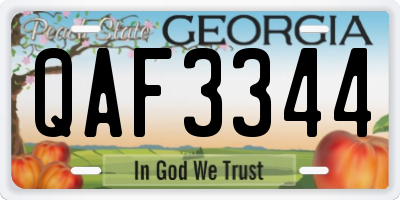 GA license plate QAF3344