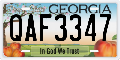 GA license plate QAF3347