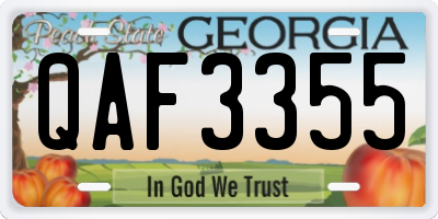 GA license plate QAF3355