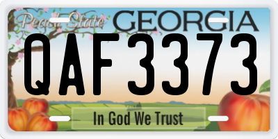 GA license plate QAF3373