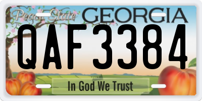 GA license plate QAF3384