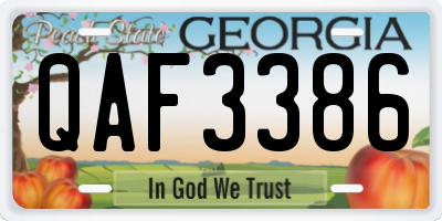 GA license plate QAF3386