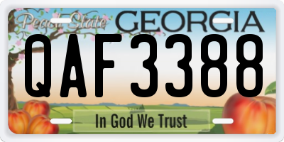 GA license plate QAF3388