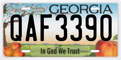 GA license plate QAF3390