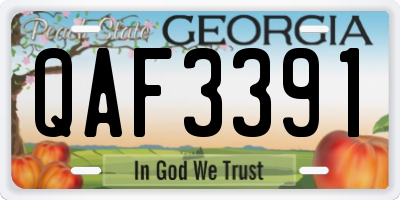 GA license plate QAF3391