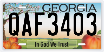 GA license plate QAF3403