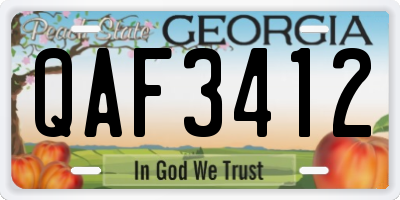 GA license plate QAF3412