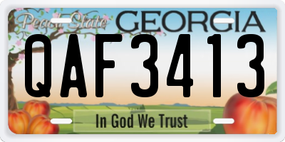 GA license plate QAF3413