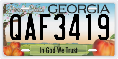 GA license plate QAF3419