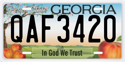 GA license plate QAF3420