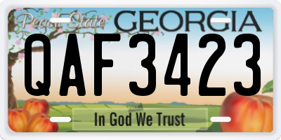 GA license plate QAF3423