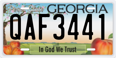 GA license plate QAF3441