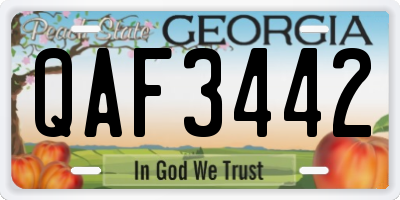 GA license plate QAF3442