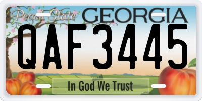GA license plate QAF3445