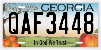 GA license plate QAF3448