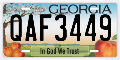 GA license plate QAF3449