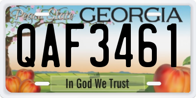 GA license plate QAF3461