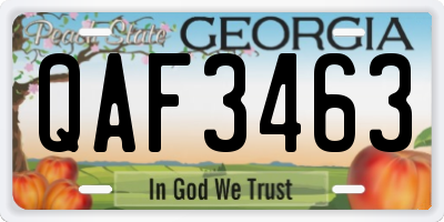 GA license plate QAF3463