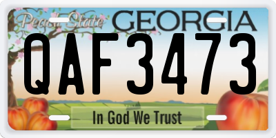 GA license plate QAF3473