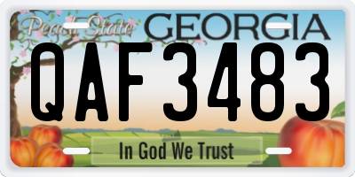 GA license plate QAF3483