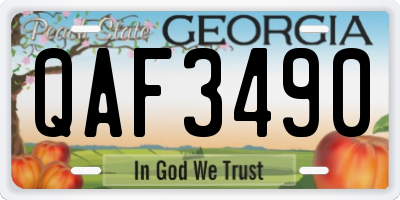 GA license plate QAF3490