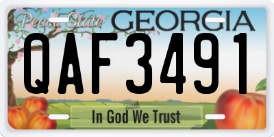 GA license plate QAF3491