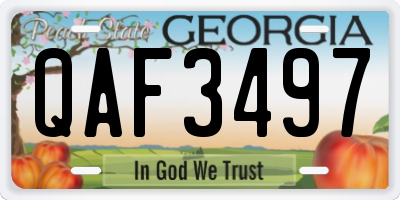 GA license plate QAF3497