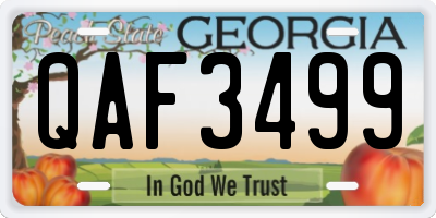 GA license plate QAF3499