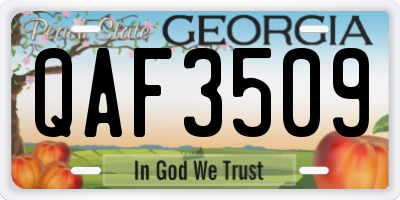 GA license plate QAF3509