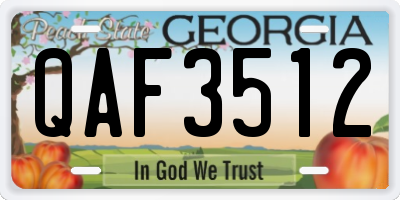 GA license plate QAF3512