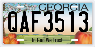 GA license plate QAF3513