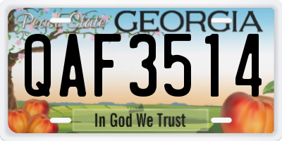 GA license plate QAF3514