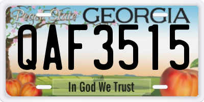 GA license plate QAF3515