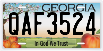 GA license plate QAF3524