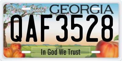 GA license plate QAF3528