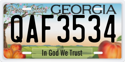 GA license plate QAF3534