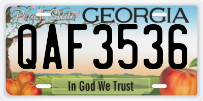 GA license plate QAF3536