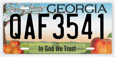 GA license plate QAF3541