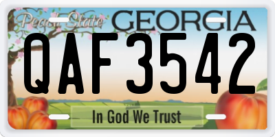 GA license plate QAF3542