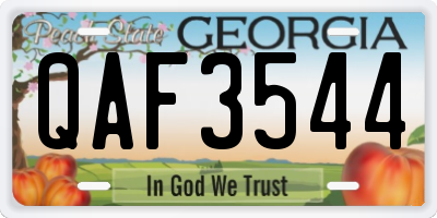 GA license plate QAF3544