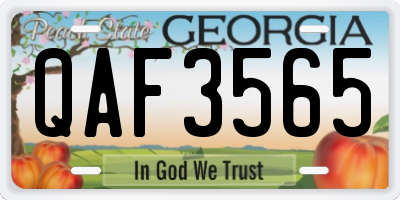 GA license plate QAF3565